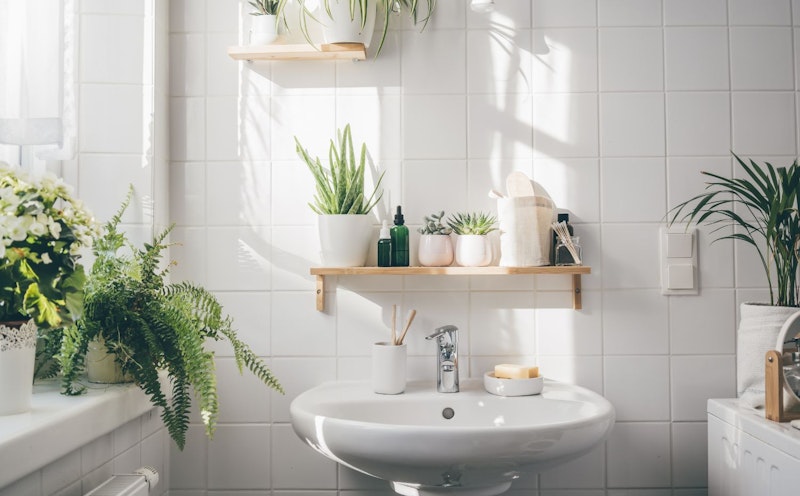decoração para o banheiro
