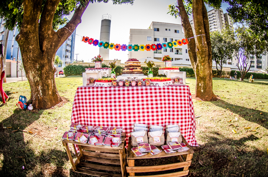 decoração para piquenique