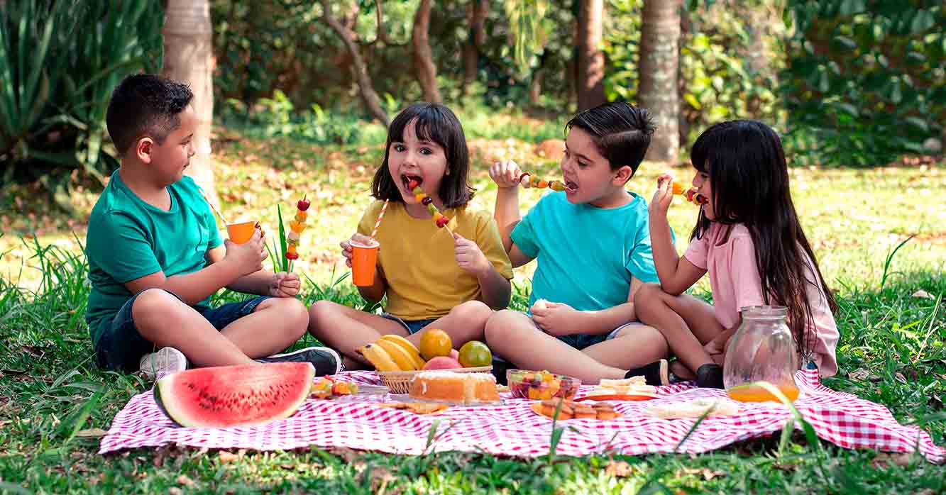 ideias criativas decoração piquenique aniversario