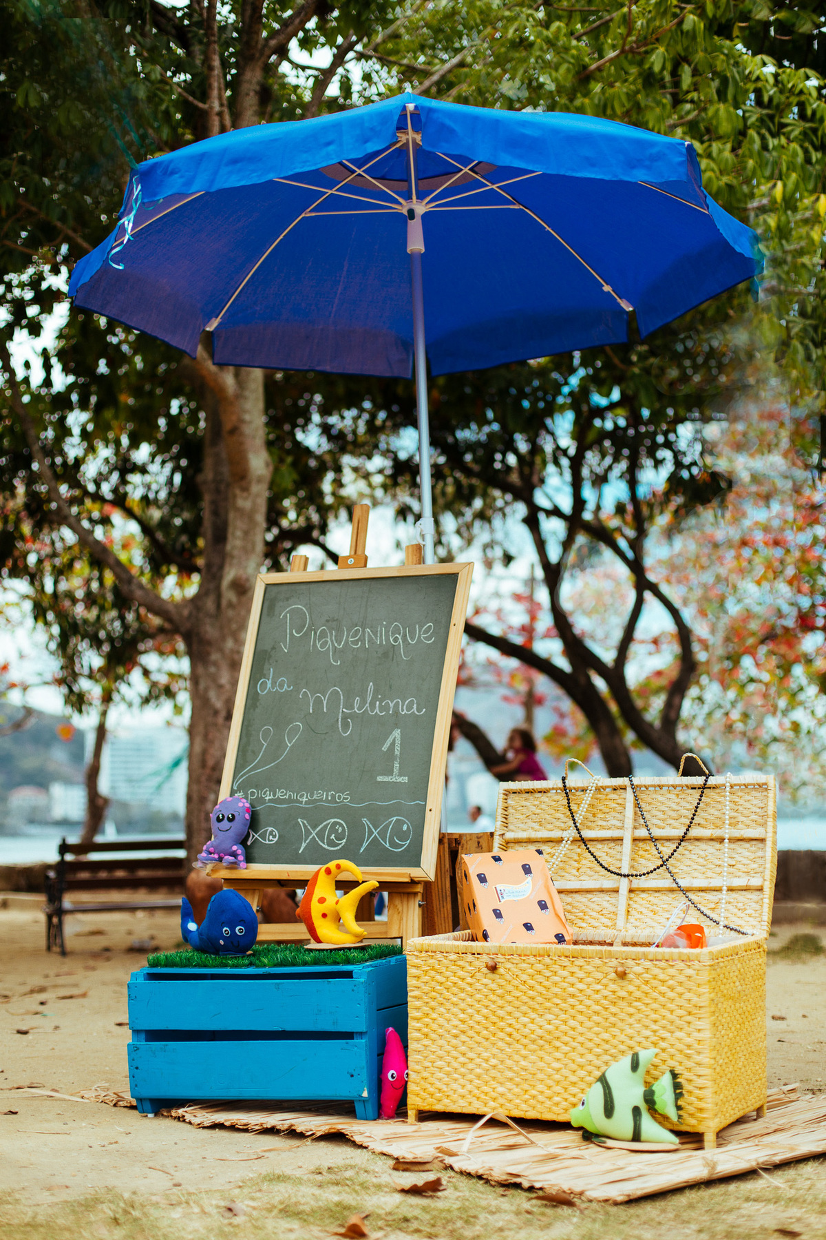 decoração piquenique aniversario infantil versus adulto