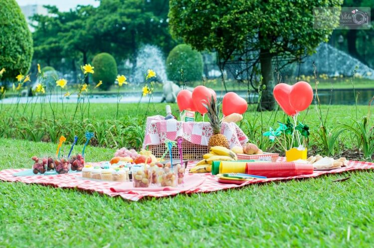 decoração piquenique infantil