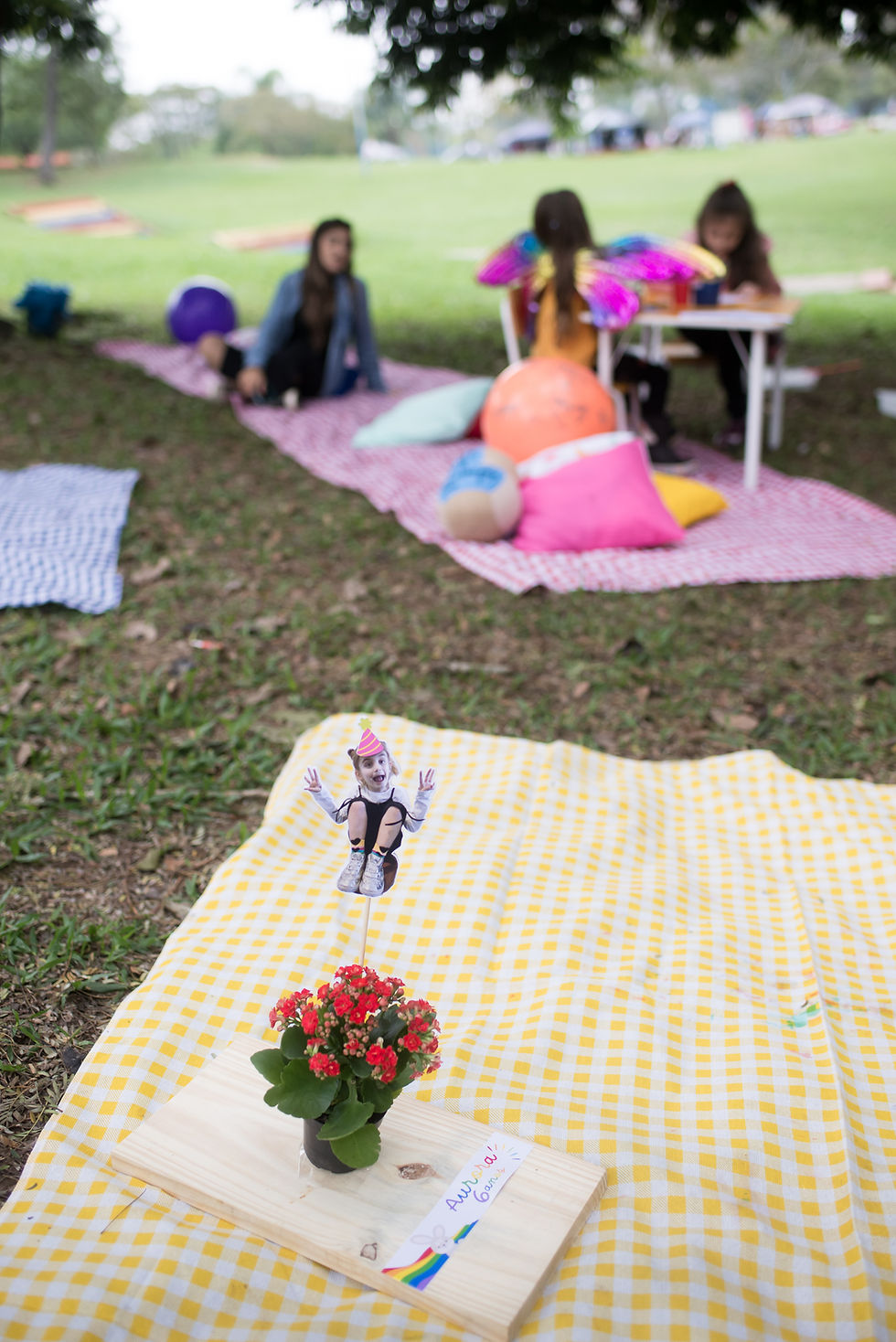 custo médio decoração piquenique infantil