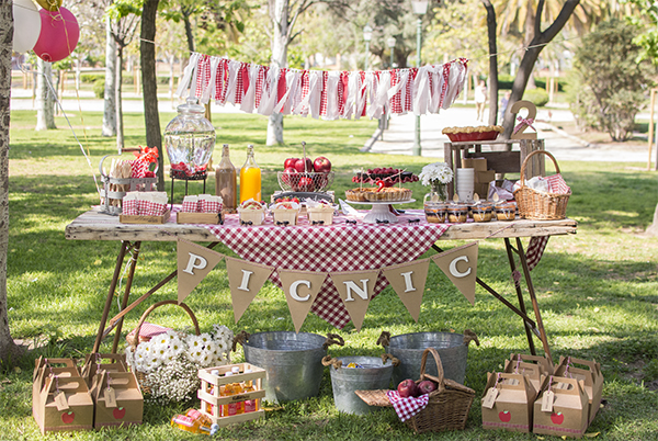 decoração piquenique infantil vs festa tradicional