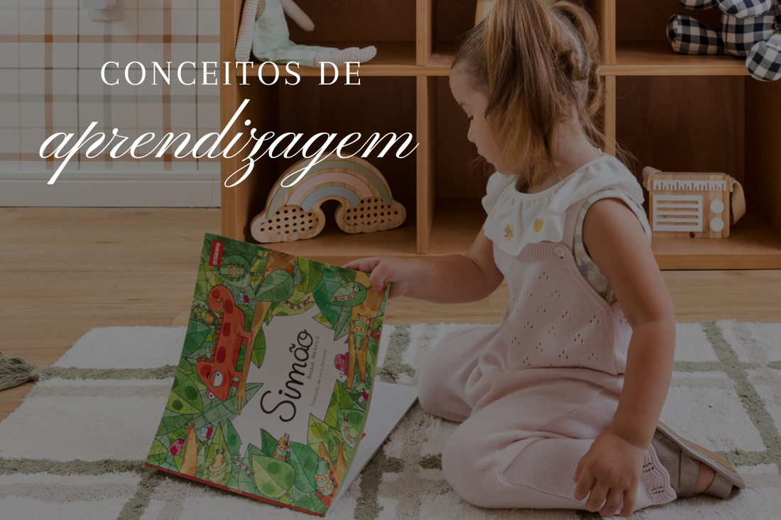 custo para montar ambiente reggio emilia