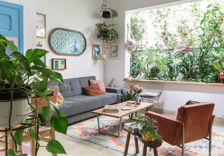 plantas de interior para sala com pouca luz