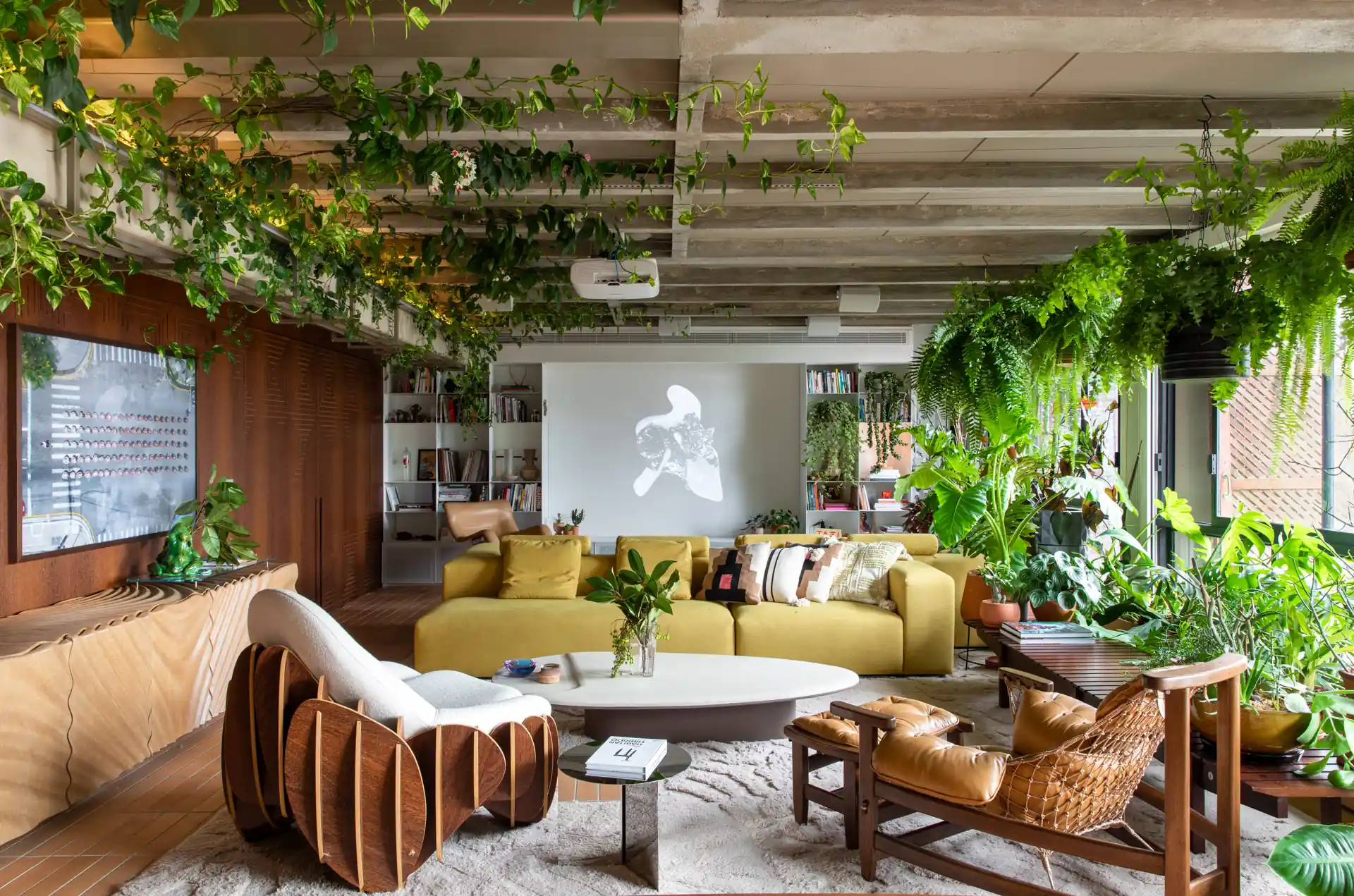 plantas para sala pequena