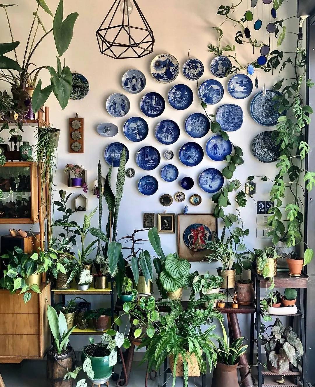 plantas pendentes para sala