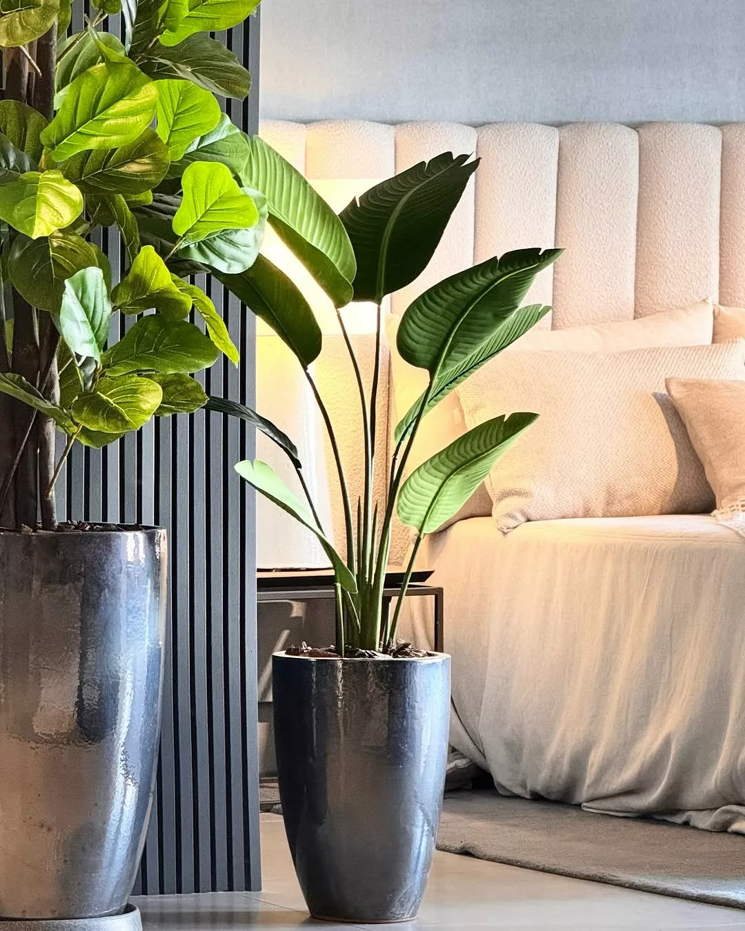 ideias de decoração com plantas na sala