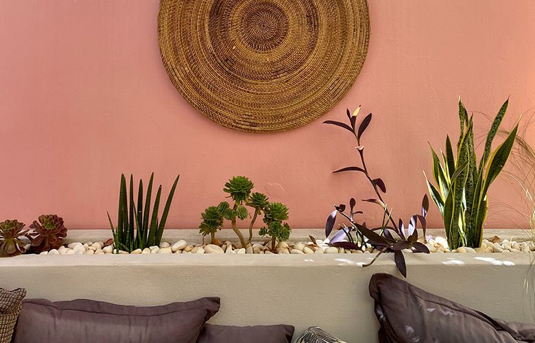 cor salmão vs coral na decoração de interiores