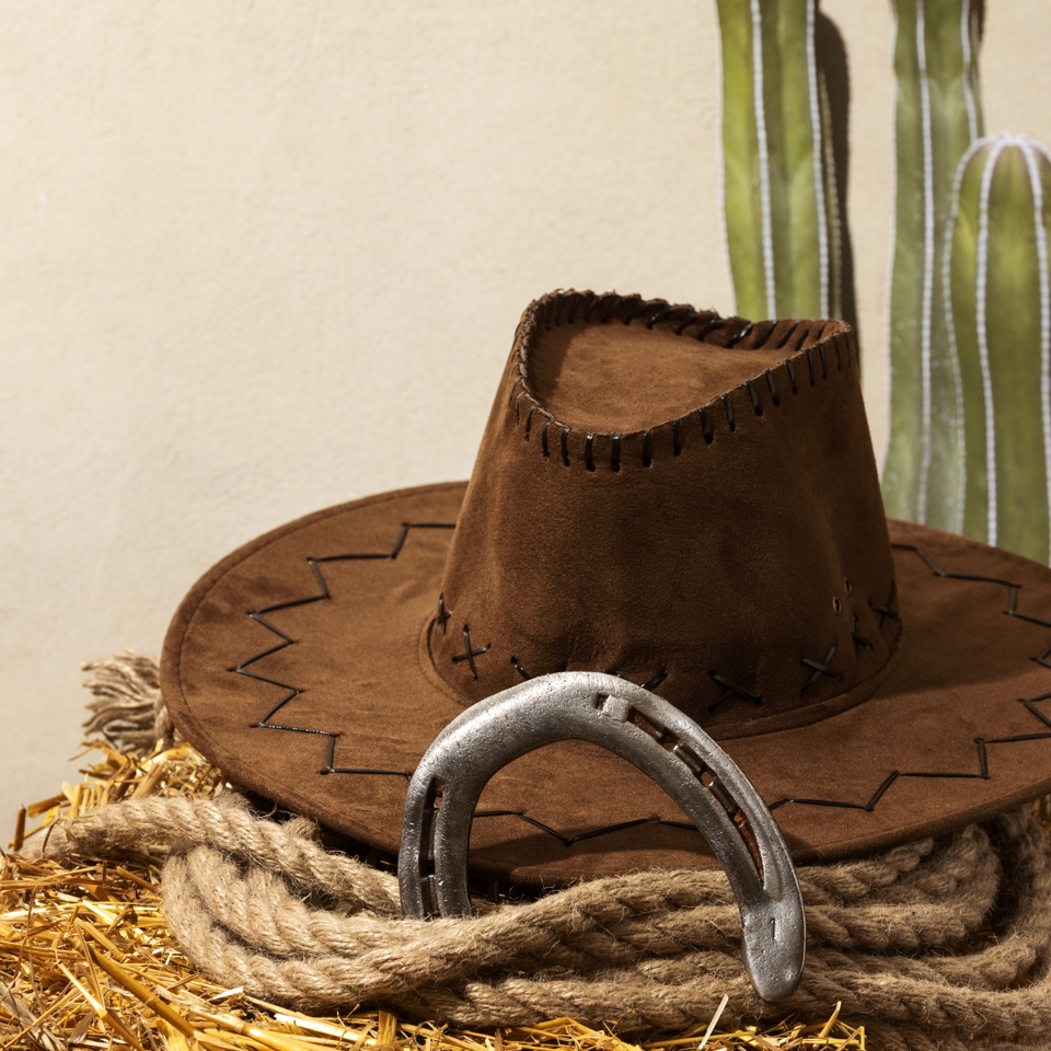 custo decoração sertaneja simples orçamento