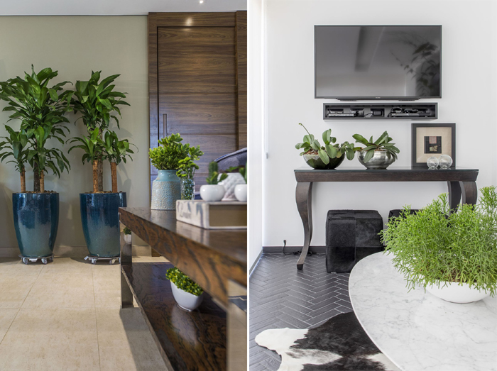 Vaso com plantas altas (Areca, Pleomele)