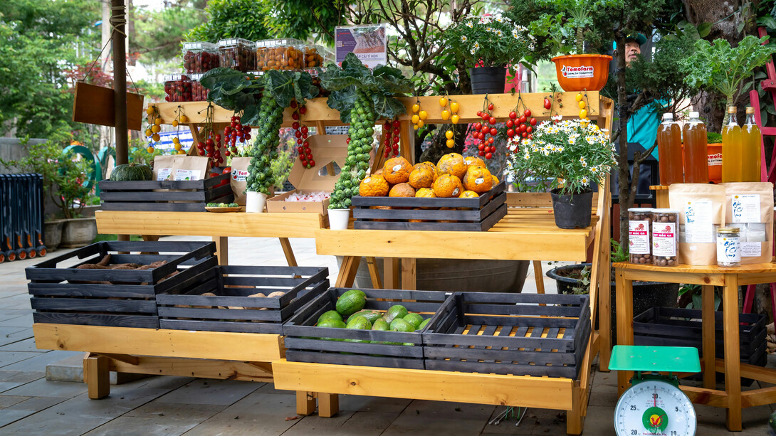 Guia completo de frutas e vegetais da estação: Verão e Inverno