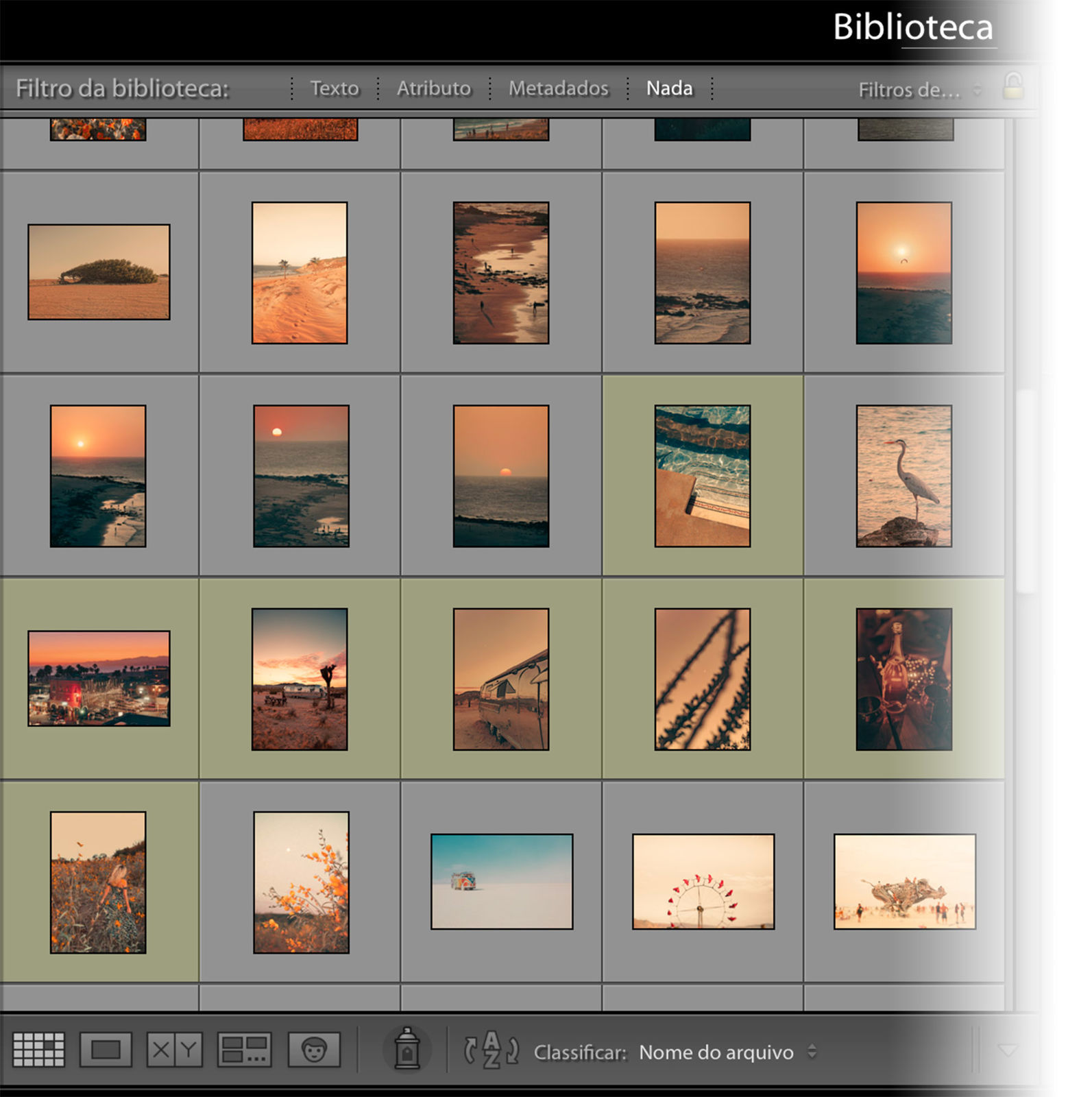 tutorial lightroom mobile fotos naturais