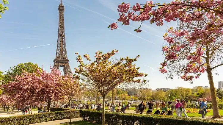 segredos do paradoxo francês para emagrecer