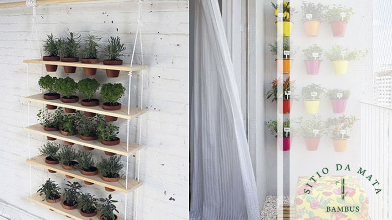 Guia de vasos e substratos para sua horta de apartamento