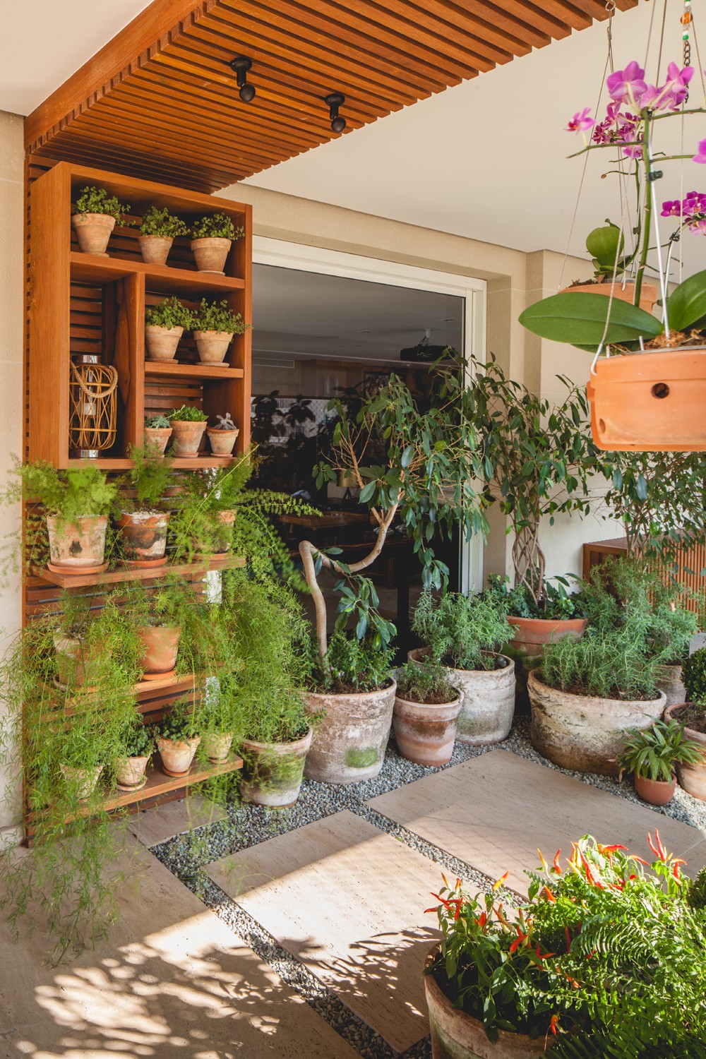 como fazer horta de temperos em vaso