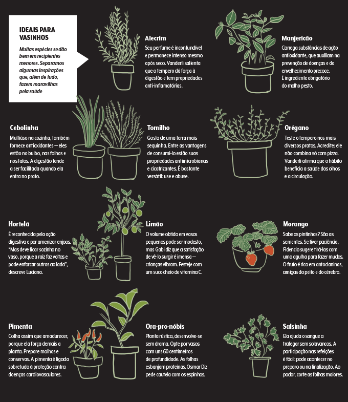 horta de temperos para apartamento pequeno