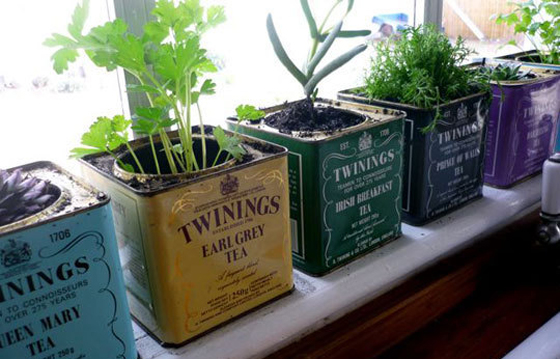 Dicas para montar uma horta de temperos em vasos