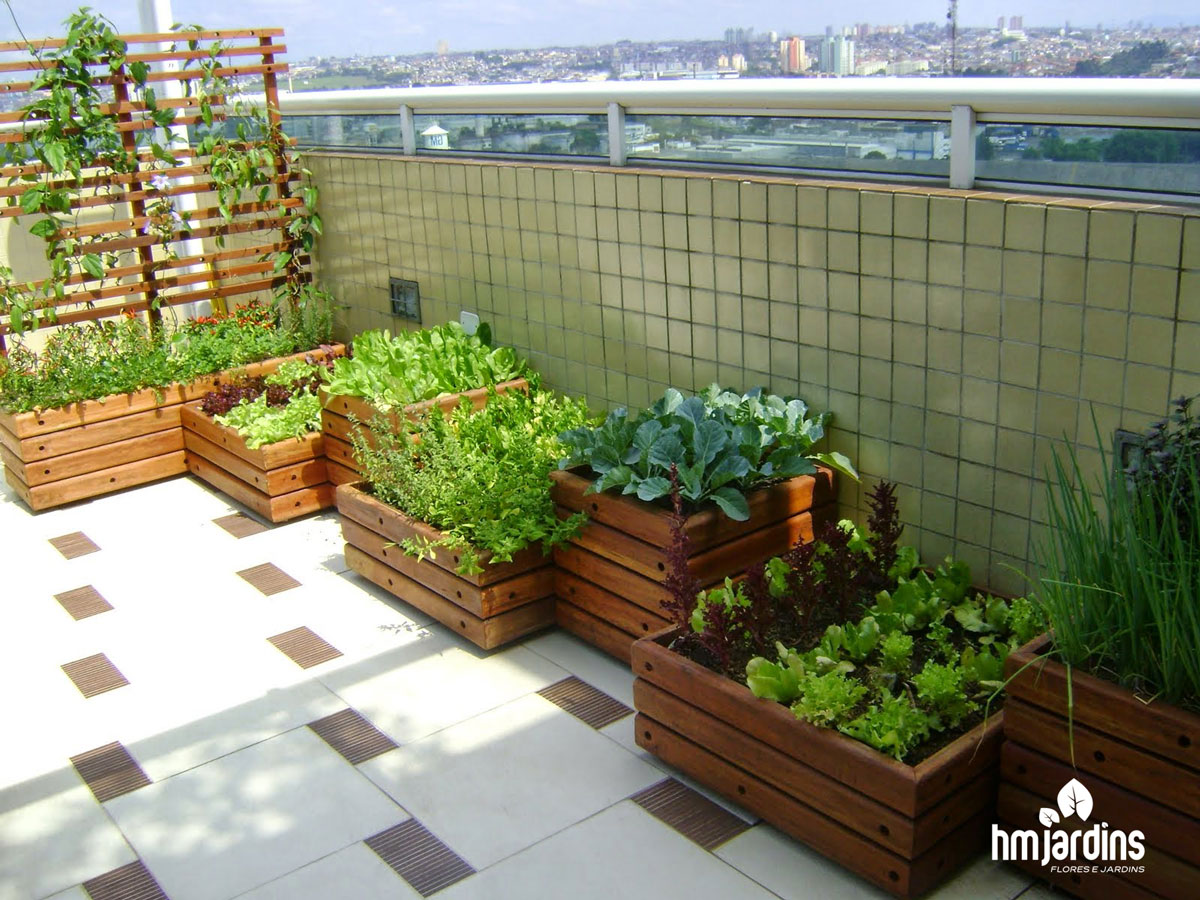 Dicas para montar uma horta de temperos em vasos