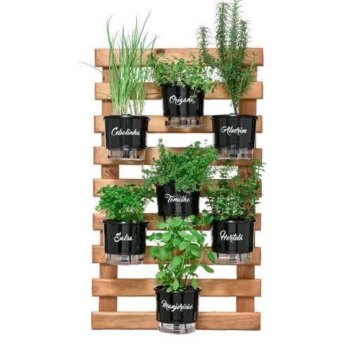 Dicas para montar uma horta de temperos em vasos