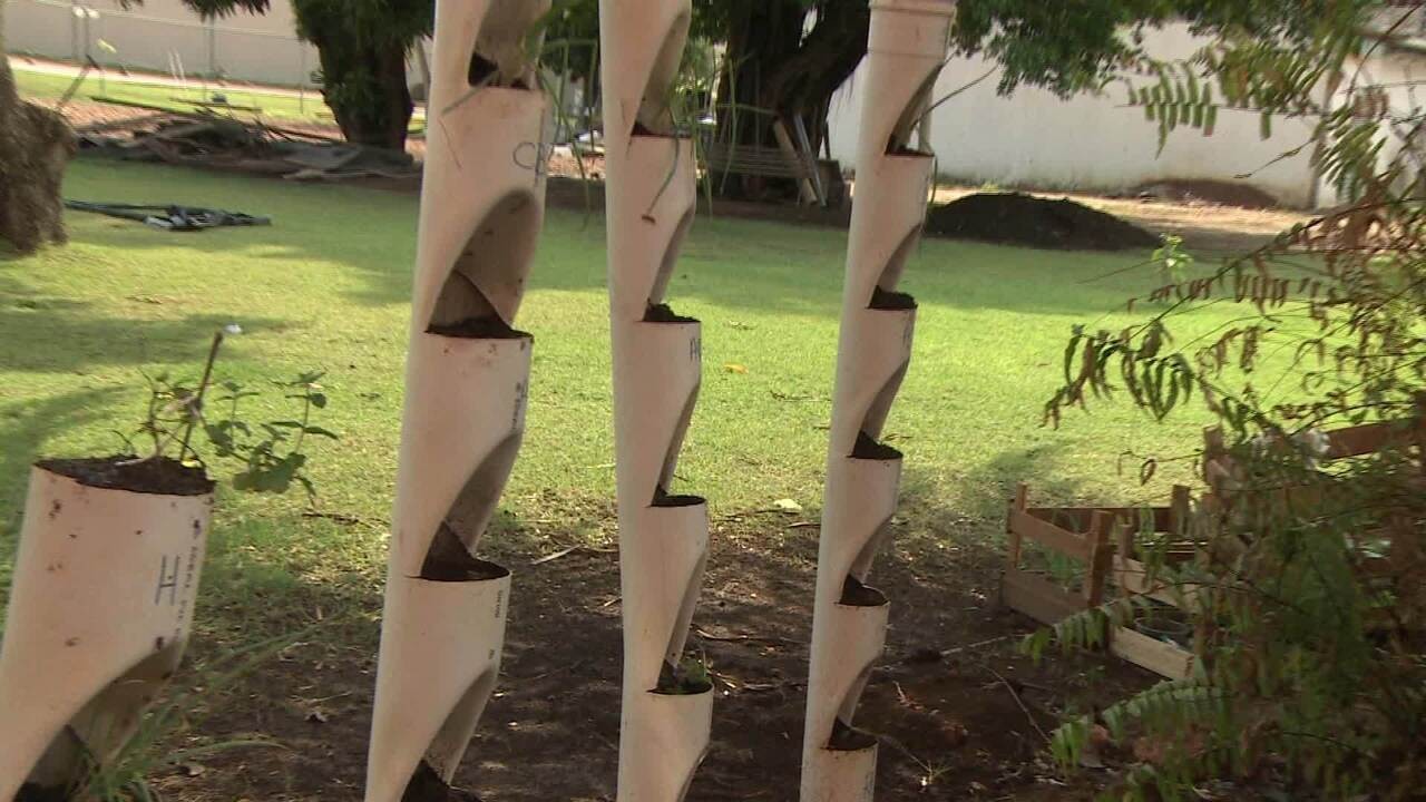 plantar alface em cano PVC