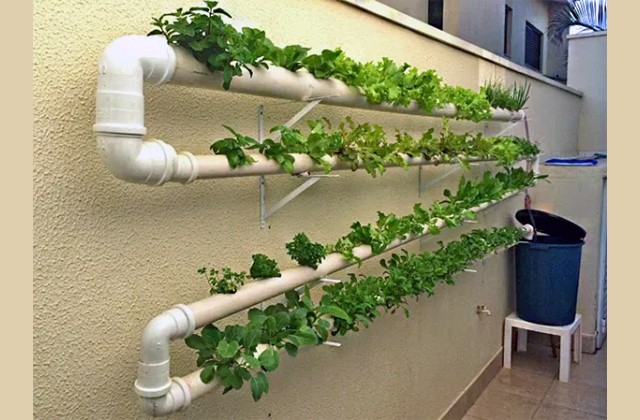 como montar horta em tubo de PVC