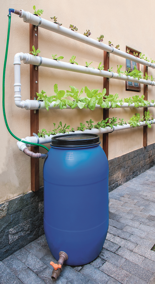 Dicas para montar uma horta em canos de PVC
