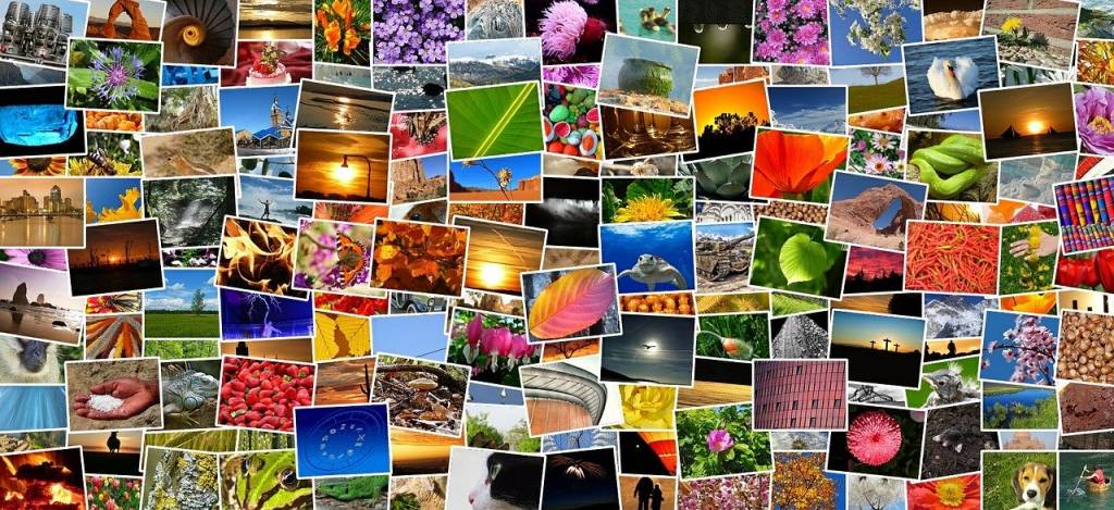Dicas para organizar fotos de viagem no Google Fotos