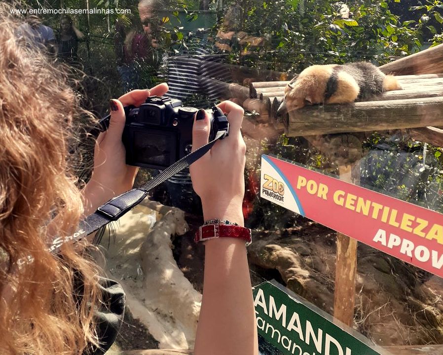 Aproveitando a IA do Google Fotos para organizar pessoas e lugares