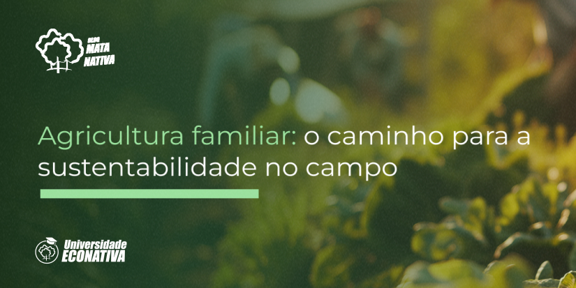 saúde mental em família 2026