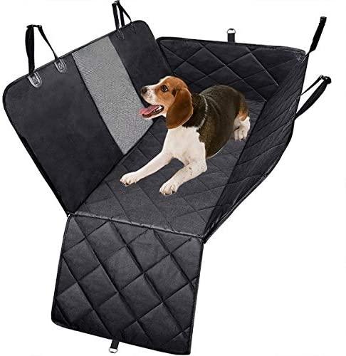 Viagem de Carro com Cachorro: Dicas de Segurança e Conforto