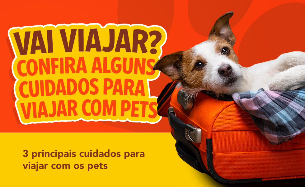 Dicas para viajar com pets de forma confortável