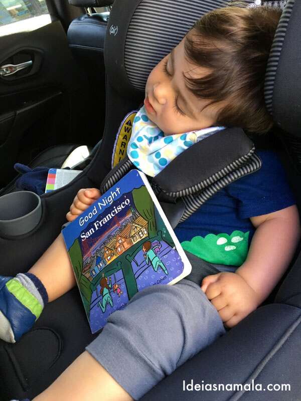 segurança para bebês em viagens rurais