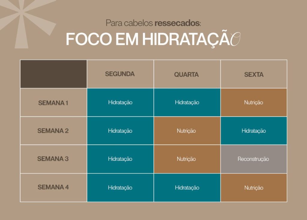 cronograma capilar passo a passo