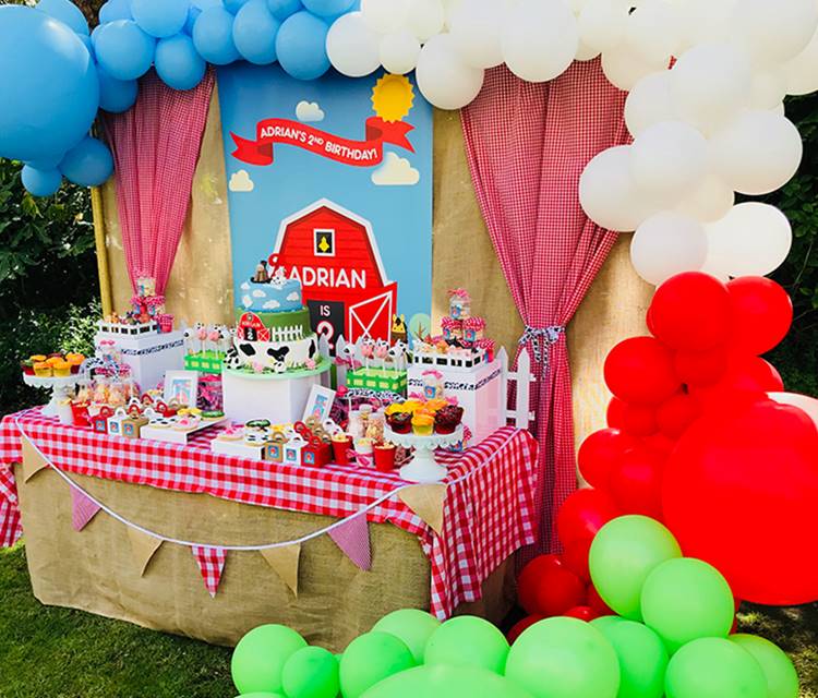 diy festa infantil