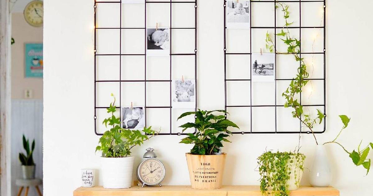 diy fotos polaroid