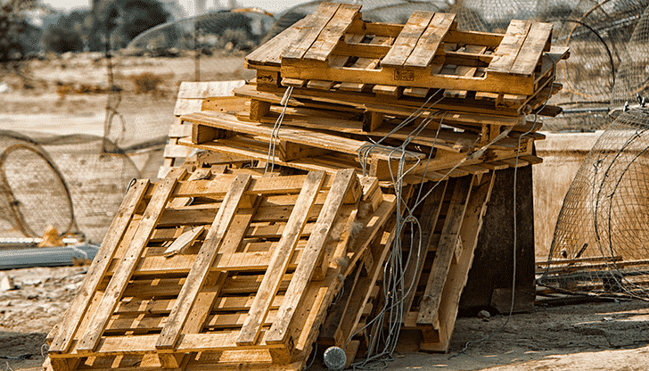 Guia Completo: Como Escolher e Trabalhar com Madeira Pinus em Projetos DIY