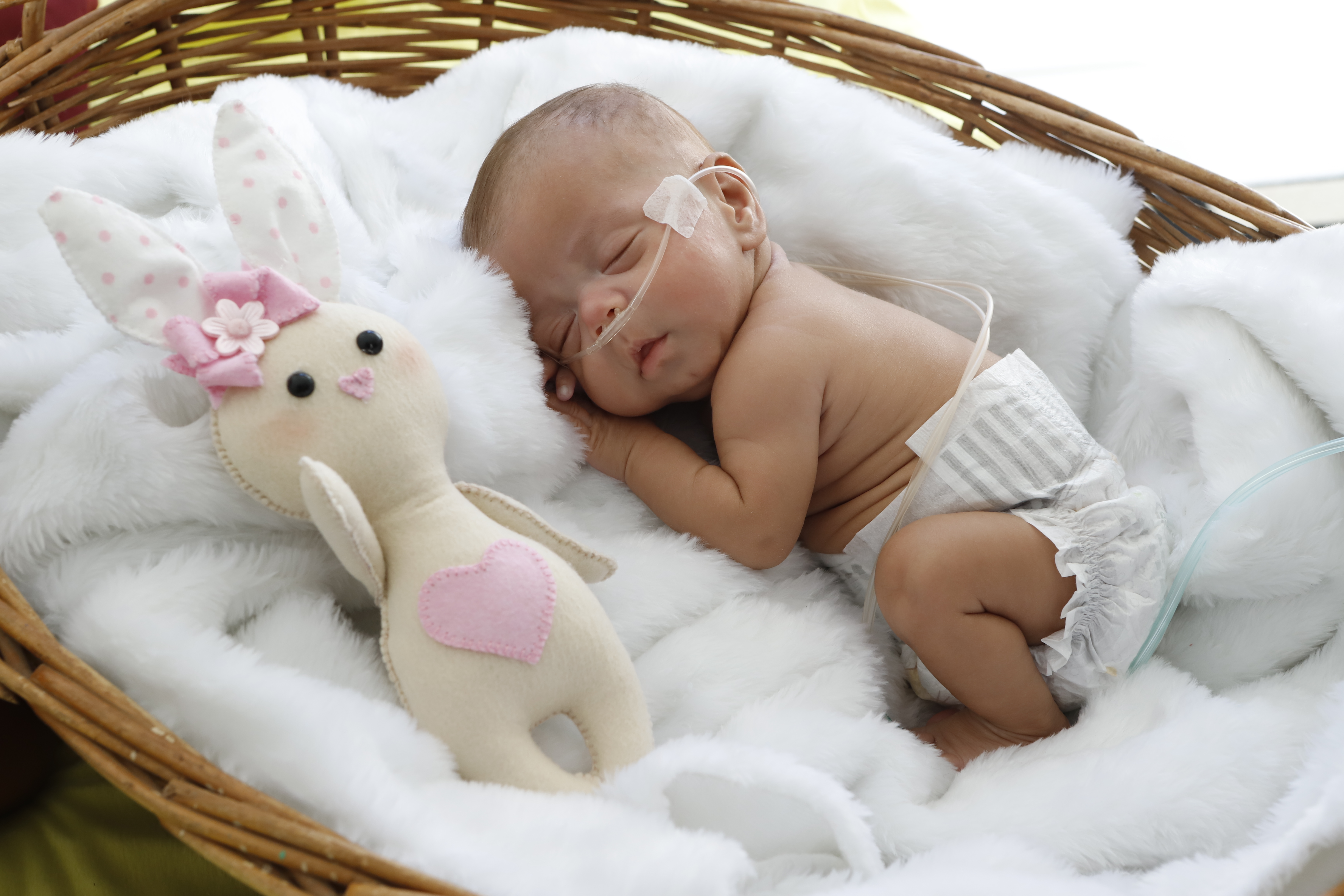 ensaio de pascoa bebe