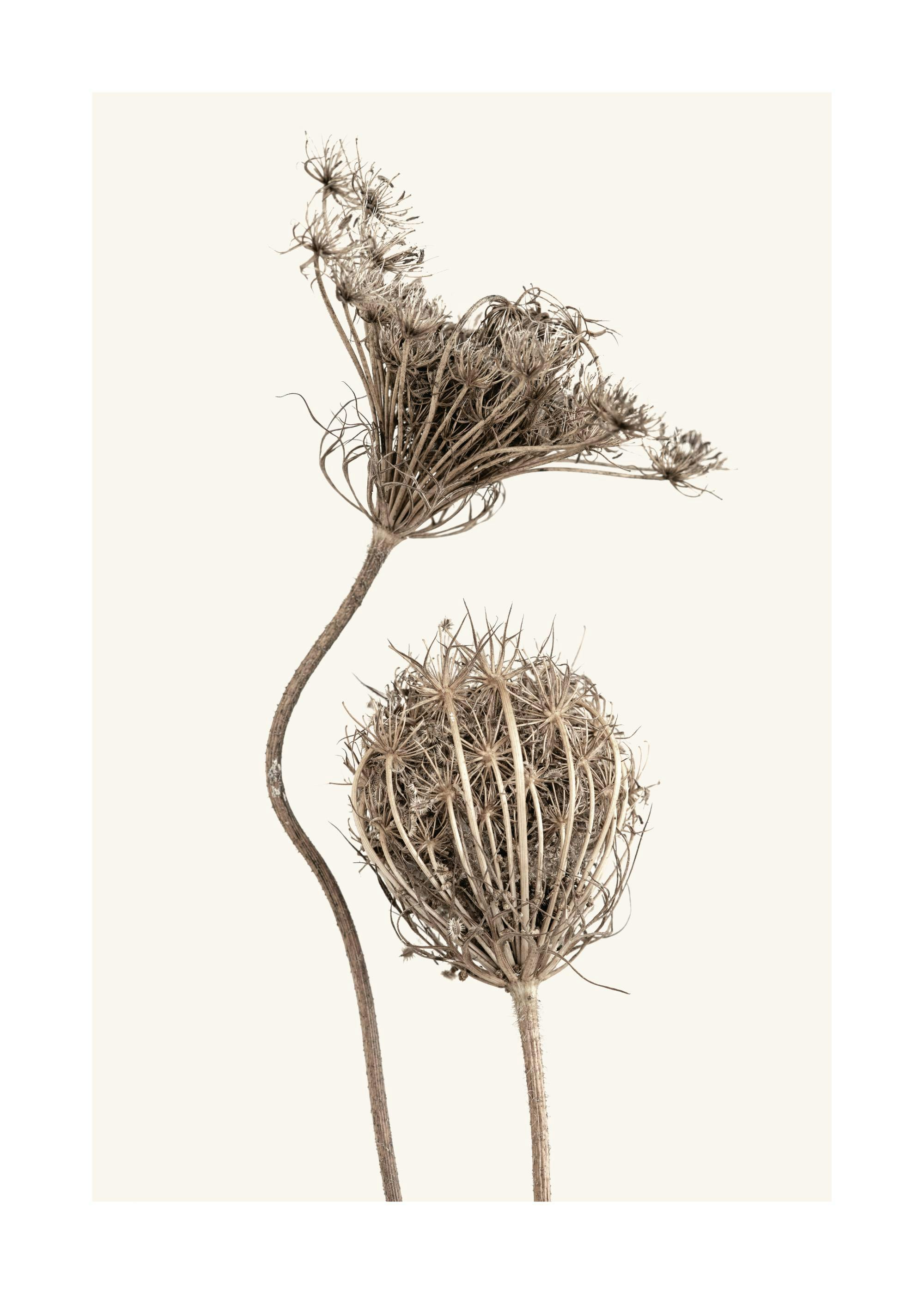 Minimalismo Digital: Reduza o Caos Online e Ganhe Foco