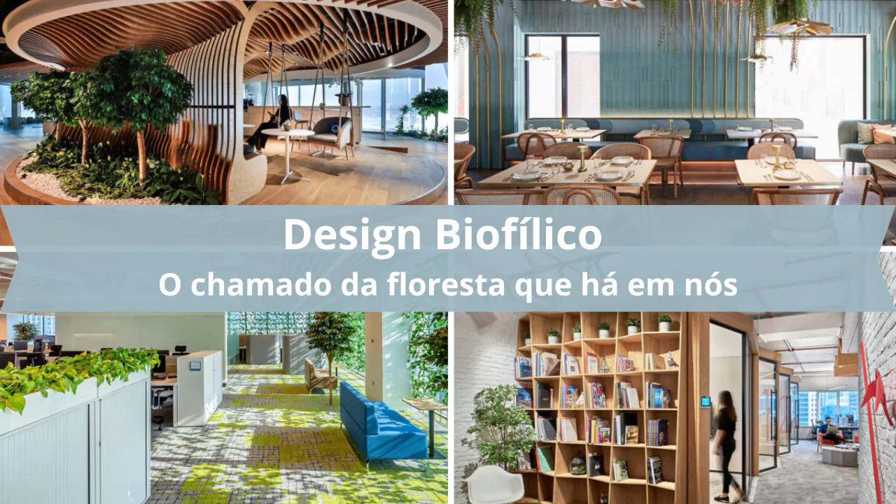 Saúde Mental e Natureza: O Impacto de 120 Minutos Semanais no Seu Bem-Estar