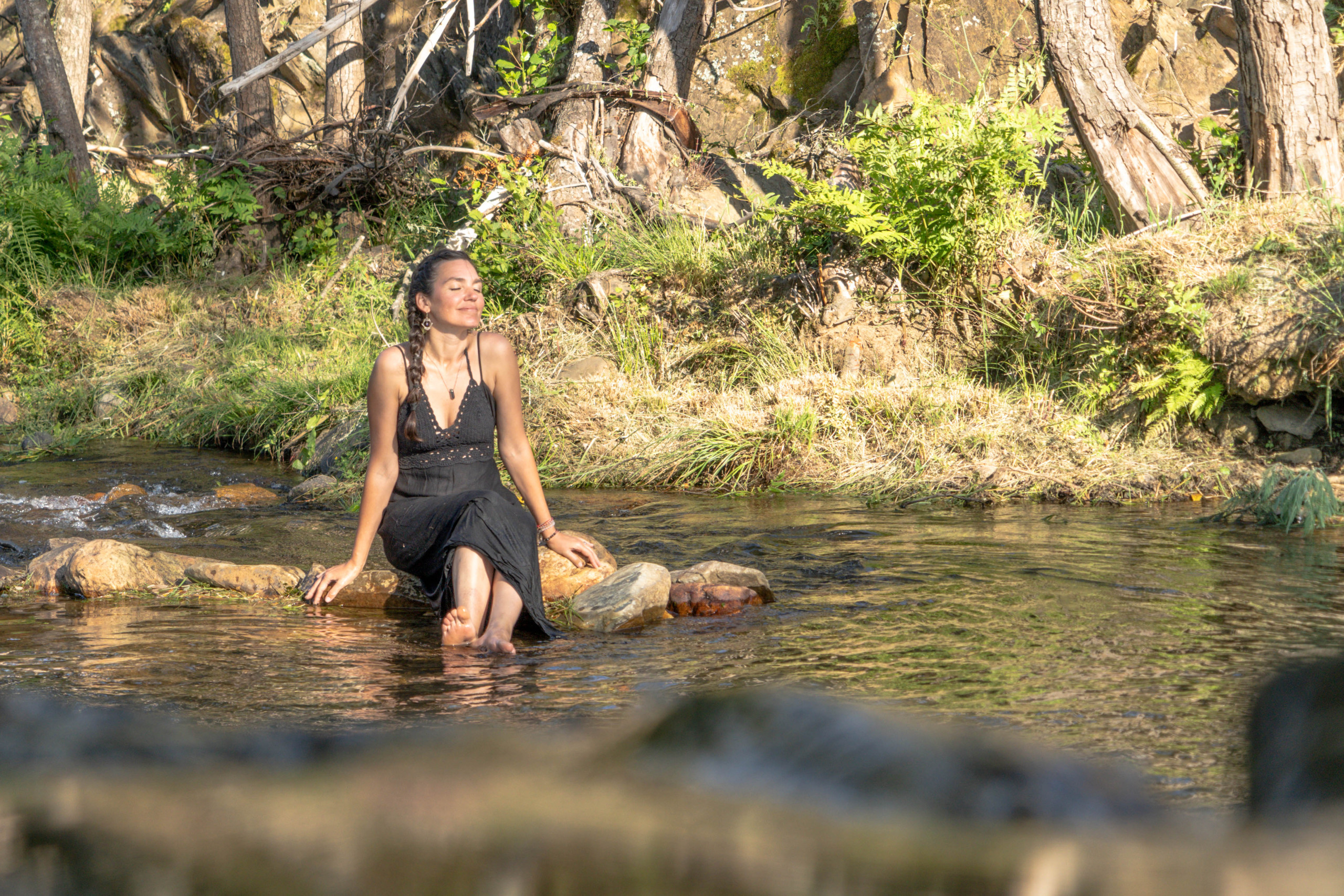 Guia Completo de Homesteading: Como Iniciar Sua Vida Autossuficiente no Campo