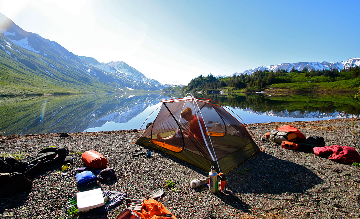 Os Benefícios do Ecofeminismo para a Conservação Ambiental