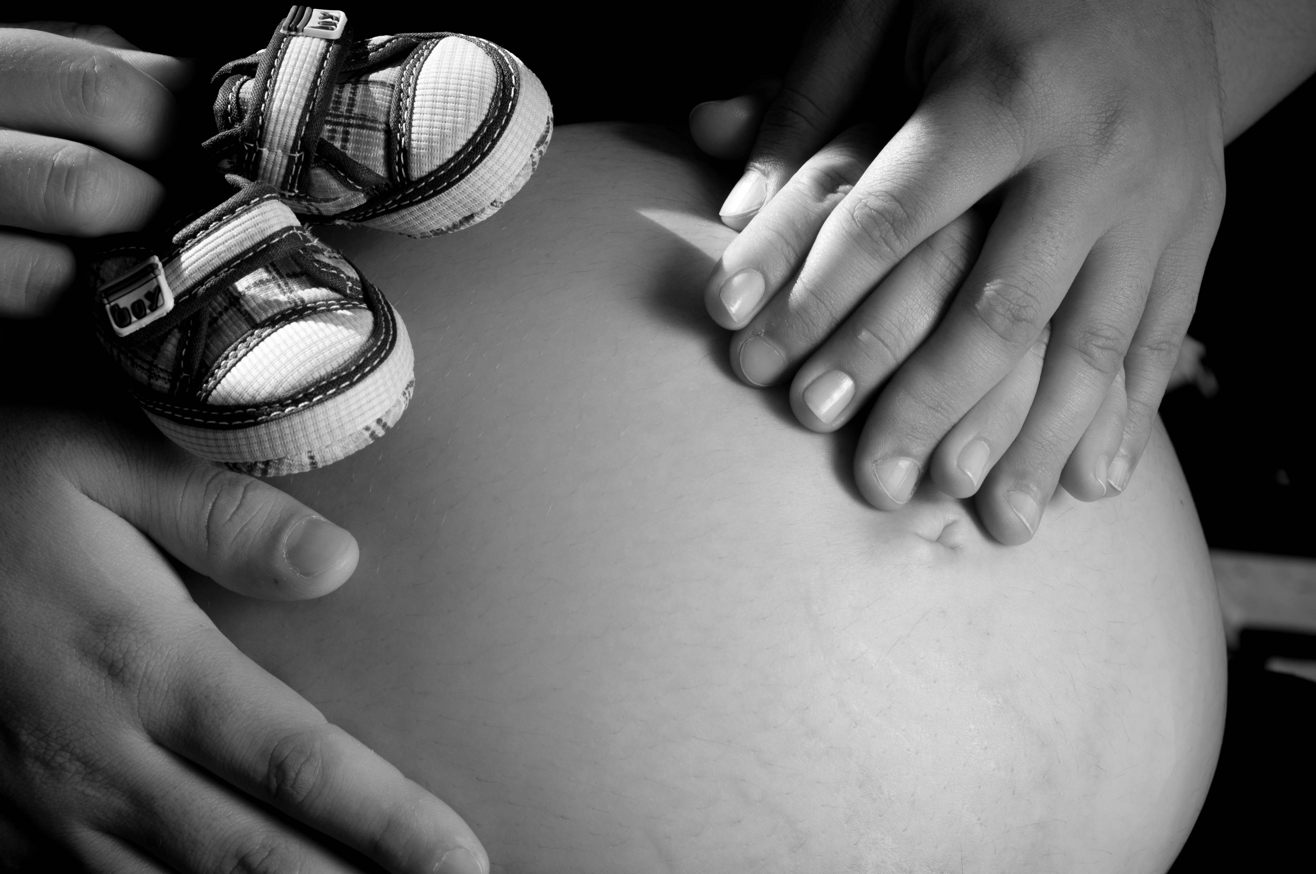 faça voce mesmo book gestante