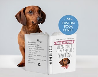 Como Escolher o Melhor Cenário em Casa para seu Ensaio de Gestante