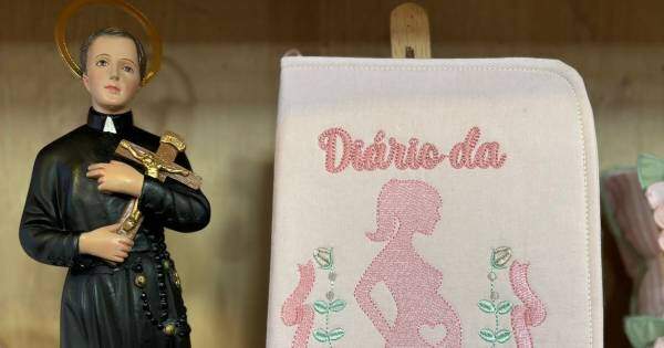 faça voce mesmo book gestante