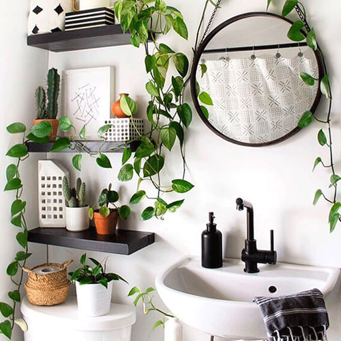 faça você mesmo decoração banheiro