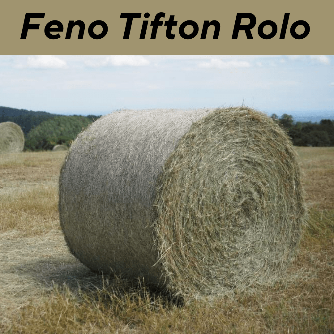 Tipos de feno