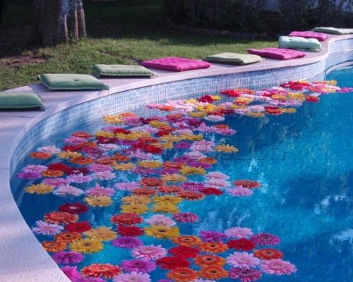decoração festa na piscina barata