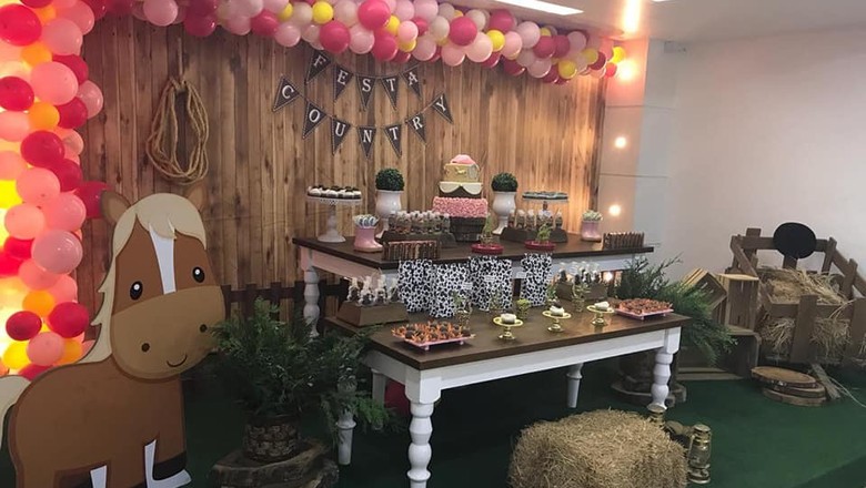 decoração festa sertaneja masculina adulto simples