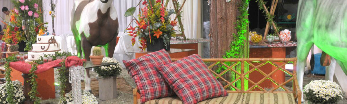 festa sertaneja decoração